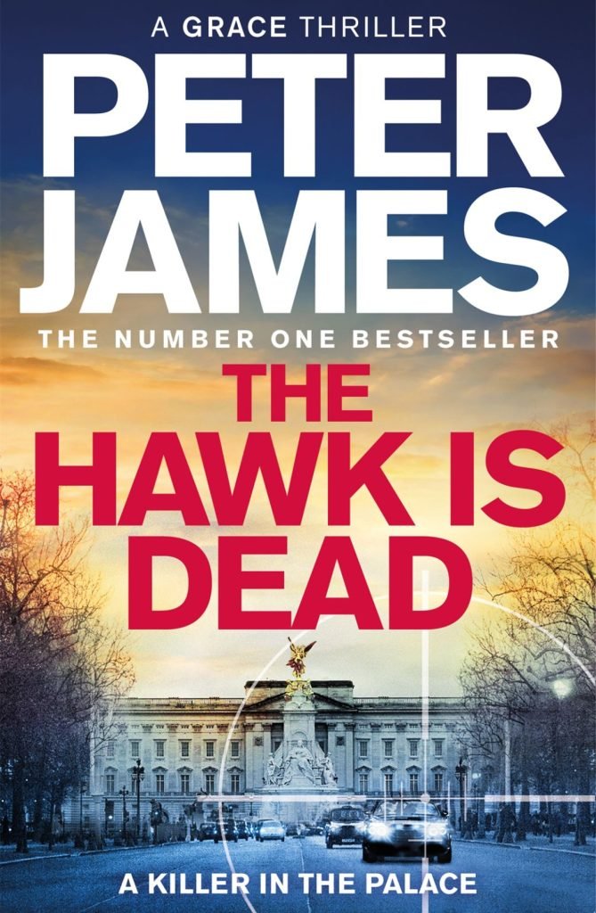 the hawk is dead book cover